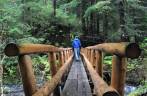 Atravessando riacho em rain forest de Sitka, no sudeste do Alaska